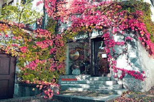 阿尔维斯球风硬朗，圣埃蒂安队实力感人