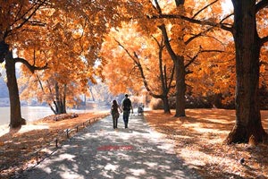 梅因茨05击败对手，拒绝低迷状态