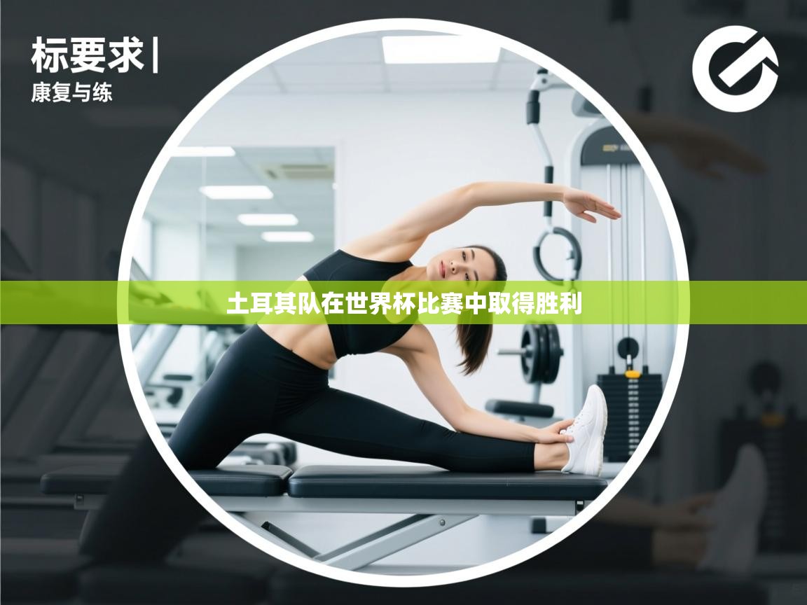 土耳其队在世界杯比赛中取得胜利 第2张