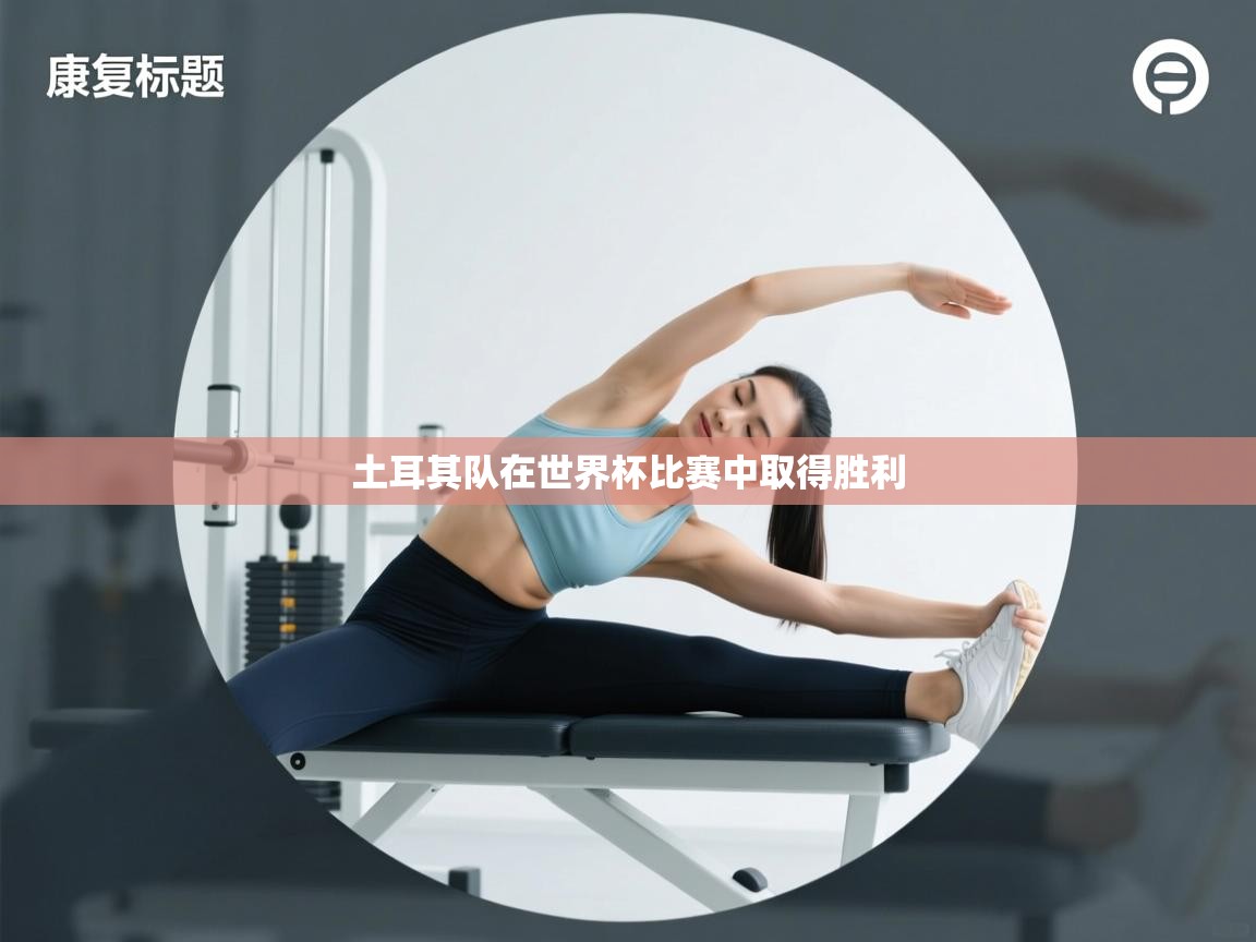 土耳其队在世界杯比赛中取得胜利 第1张